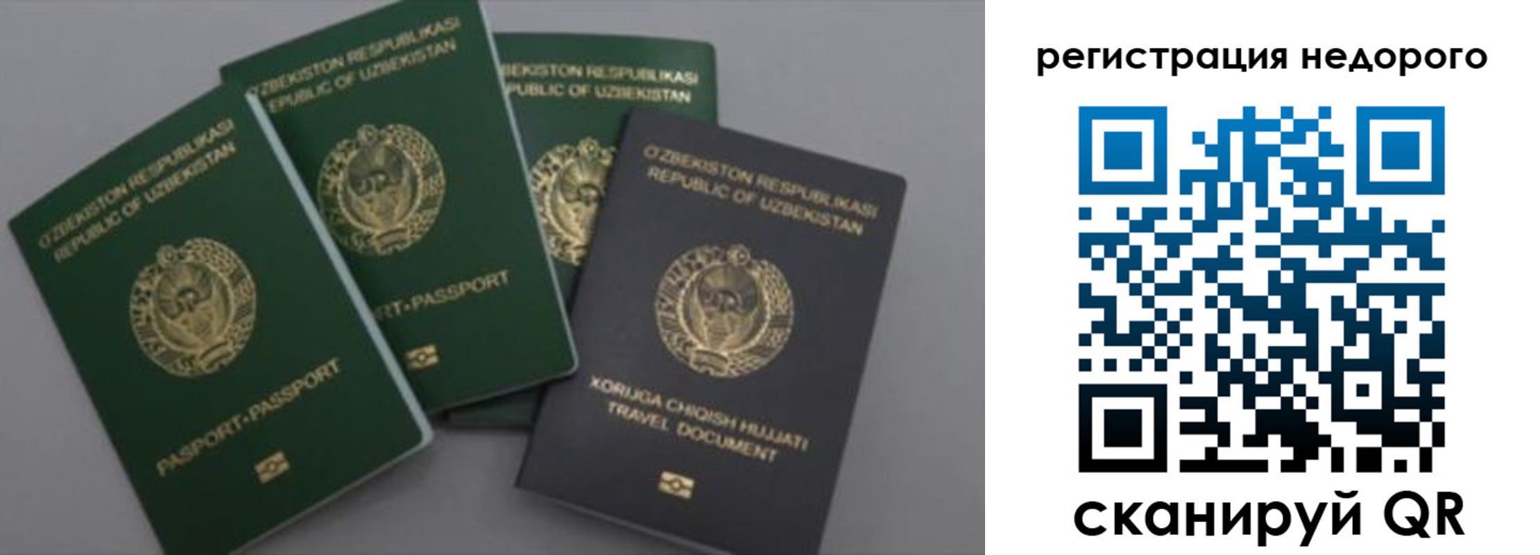 пропишу в квартире в Новоузенске